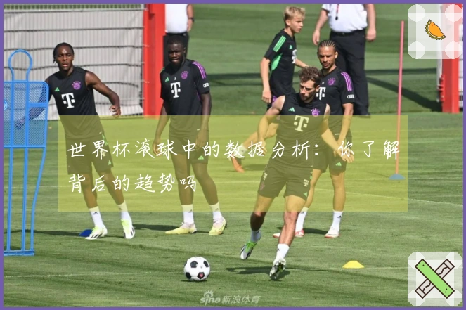 世界杯滚球中的数据分析：你了解背后的趋势吗