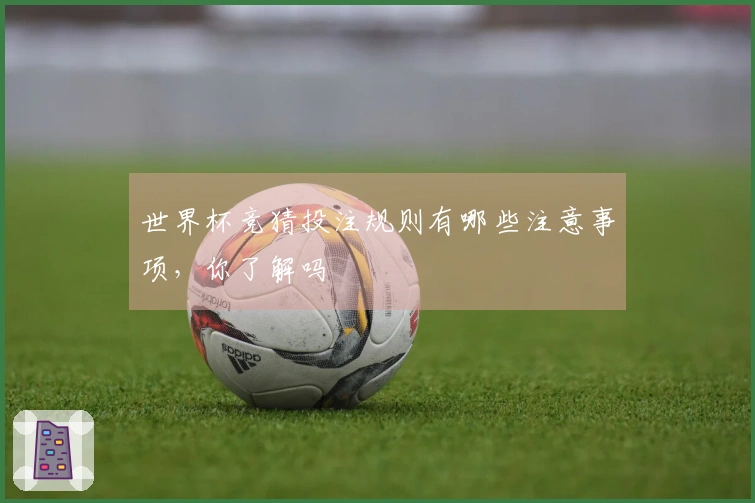 世界杯竞猜投注规则有哪些注意事项，你了解吗
