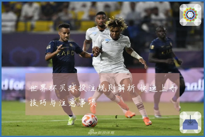 世界杯买球投注规则解析 快速上手技巧与注意事项